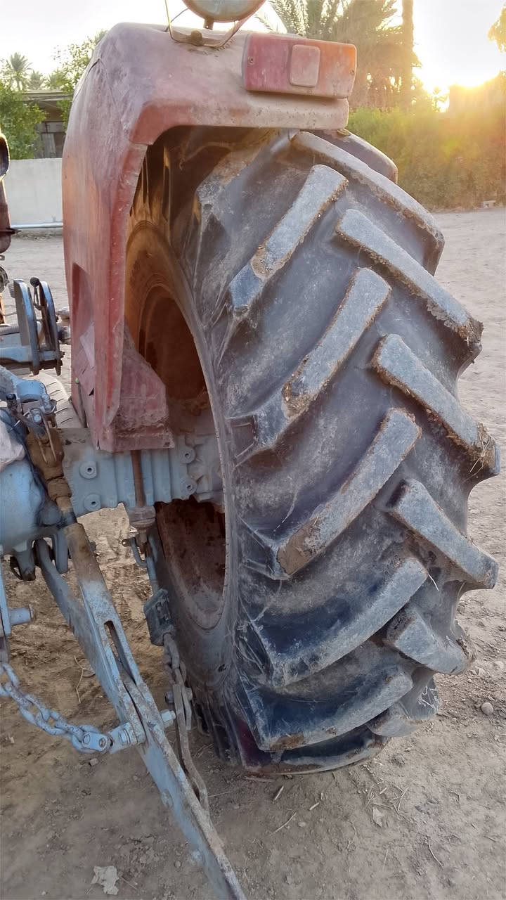 فورگسن 75 انكليزي
موديل81
مكينه نظيفه وجاهزة 
سنويه تحويل 
_______________
📍بغداد اليوسفية 
📞‏‪***********‬‏
