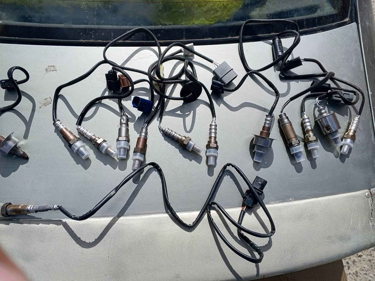 حساس تيست وكاله الأصلي
كل سيارات 

وتساب للتواصل ***********
