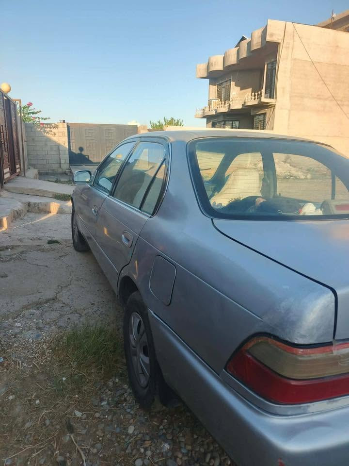 كورلا 1994ضرر صبغ بوند فقط رقم نينوى سياره حيل حلوه ونظيفه سعرها 55 وبيها مجال للطيبين ***********
