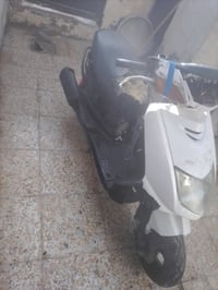 سكنس • نثية