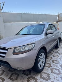 سنتافي • ٢٠٠٧ • رقم اربيل