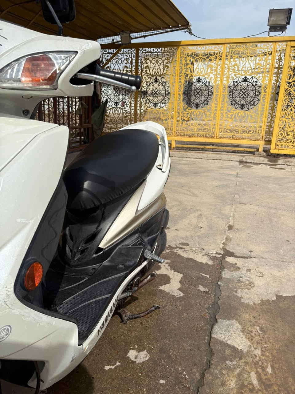 سلام عليكم شبابنه الطيبه سكنس فحل طلاعات جديده بجيس   كفاله عامه اوبلعافيه ع ياخذهة مكاني بغد الشعب. ***********
