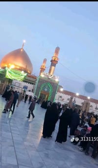 العتبات المقدسة • من السماوة • باصات درجة أولى