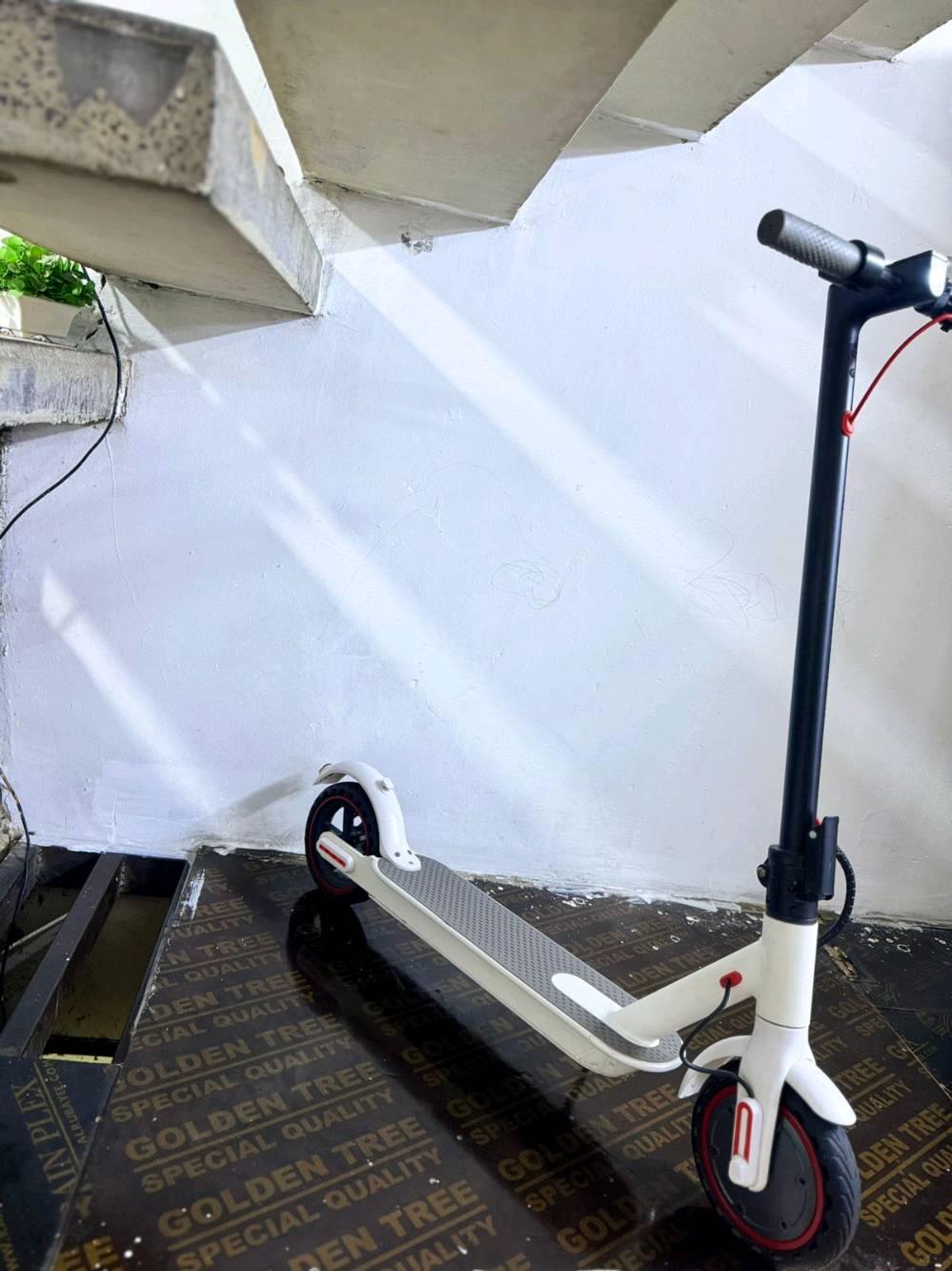 عنوان حي جامعه 