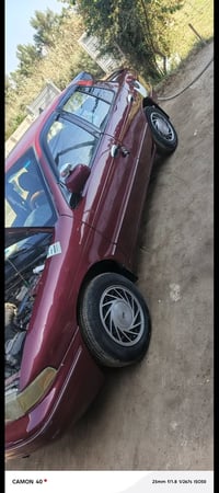 سيفه • ١٩٩٤ • الشوملي