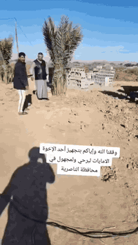 رضا الراشد • تجهيز نخيل برحي • بصره ابو الخصيب