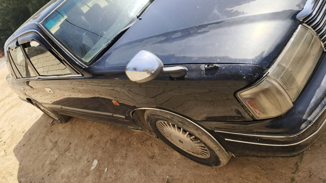 رأس الثور 95 مكفولة كفاله عامه بسمي حداديه نص عمر السعر 85 بيه مجال حك الجيه مكان نجف مشخاب  
***********
