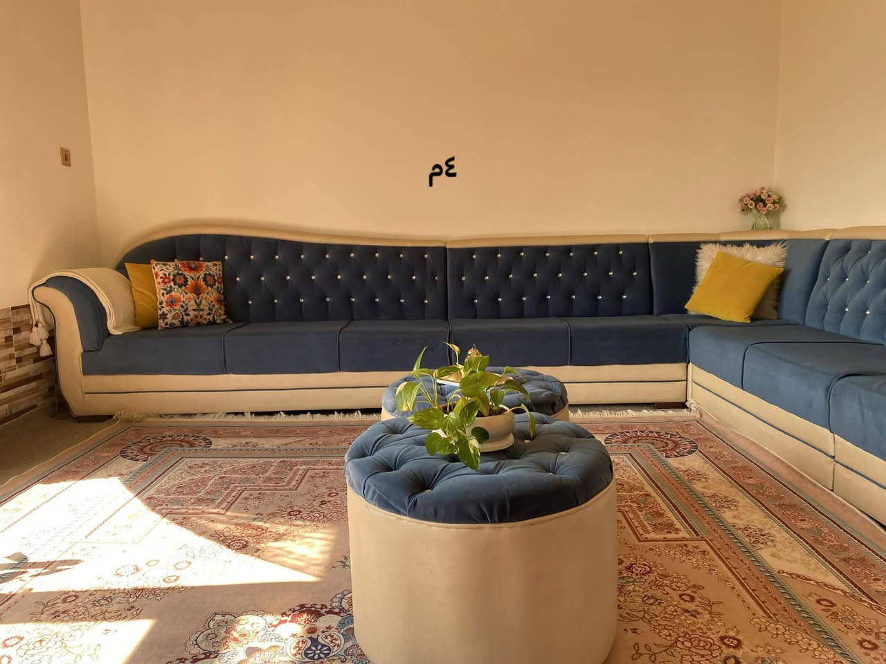 لەسلێمانی


**إذا كنت صاحب هذا الإعلان وتريد حذفه لأي سبب، رجاءا أرسل رسالة إلى الدعم الفني**