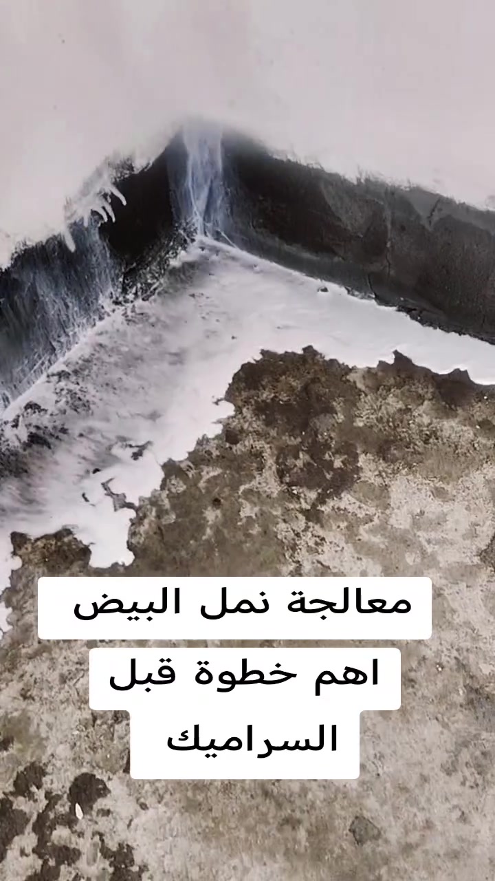 ⚠️ هل #منزلك في خطر؟ الأرضة (#النمل الأبيض) العدو الخفي! ⚠️
​الأرضة لا #تنام، وهي الآن قد تكون تحت أساسات منزلك تبني أنفاقها بصمت. لا تنتظر حتى ترى أثاثك يتفتت أمام عينيك!
​✅  لمكافحة الحشرات يوفر لك الحل الجذري.
🛡️ نستخدم أحدث التقنيات للوصول إلى المستعمرات في باطن الأرض.
🏆 خبرة موثوقة منذ عام 2005.
​📞 اتصل بنا الآن للفحص المجاني: *********** ]
