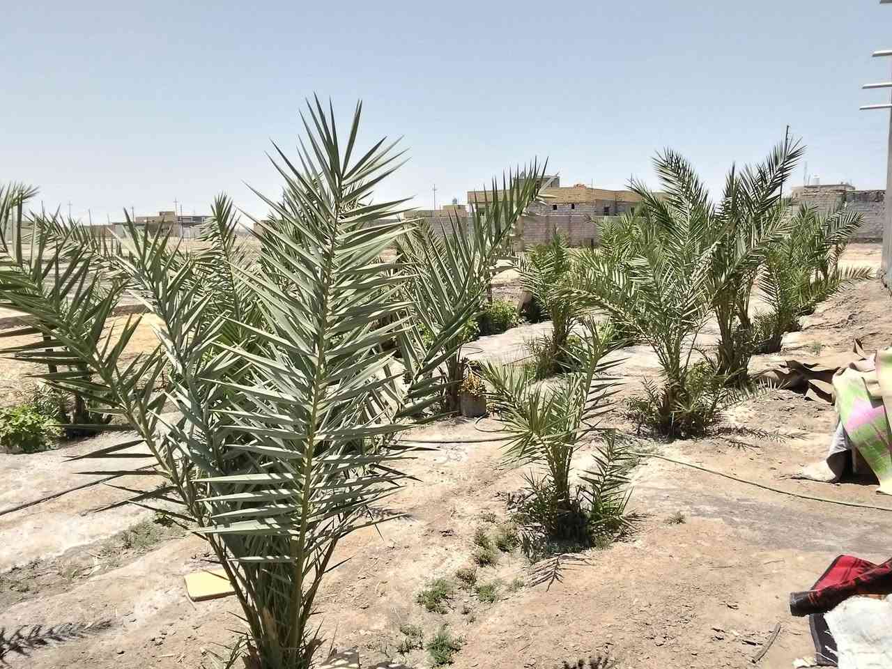 سلام عليكم بيت البيع مساحه 800متر بناء 200 متر  غرفتين وصاله ومطبخ و دوانيه   مكان  حي الجودين نزله الثانيه علا شارع المدرسه السعر خاص الرقم ***********
