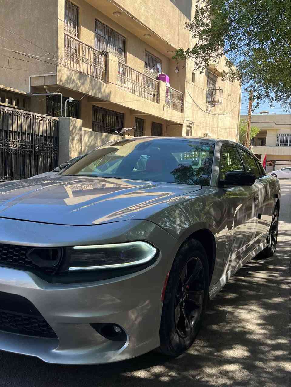 بيع او مراوس 
*********** 📞
🚘 دوج جارجر    
▪️ محرك  v6 3600  
▪️ رقم: بغداد بسمي  
✨ المواصفات:
▫️ كشن جلد + كهرباء 
▫️ قطعتين تبريد 
▫️شفتات  
▫️ شاشة جبيرة  
▫️ تحكمات ستيرن
▫️ بصمه تشغيل 
▫️لايت زنون+ لد نهاري  

( ملاحضه السياره بيها 4 قطع صبغ وبنيد مبدل اصلي بدون صبغ + تعمير بلغد   )

📍 الموقع: بغداد - السيدية بغداد, العراق

