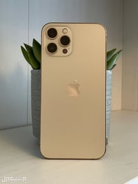 آيفون ١١ برو ماكس • ٢٥٦ • مركز فون ستور