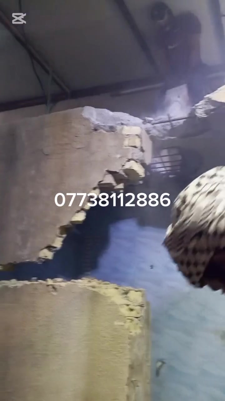 من رخصة الادمن السلام عليكم يوجد كادر عمال لتنظيف البيوت ويوجد كادر لتفليش البيوت ويوجد كادر لصب يدوي وصبت نظافه وصىب رباط وتصليط صطح ويوجد كادر لقلع السيراميك والكاشي والشتايكر ويوجد كادر لحدل القطع وتخيل سبيس ويوجد كادر لتصعيد المواد كافه ***********. ويوجد كادر لترميم البيوت وتصفير البيوت لسكريت فقط بصره
