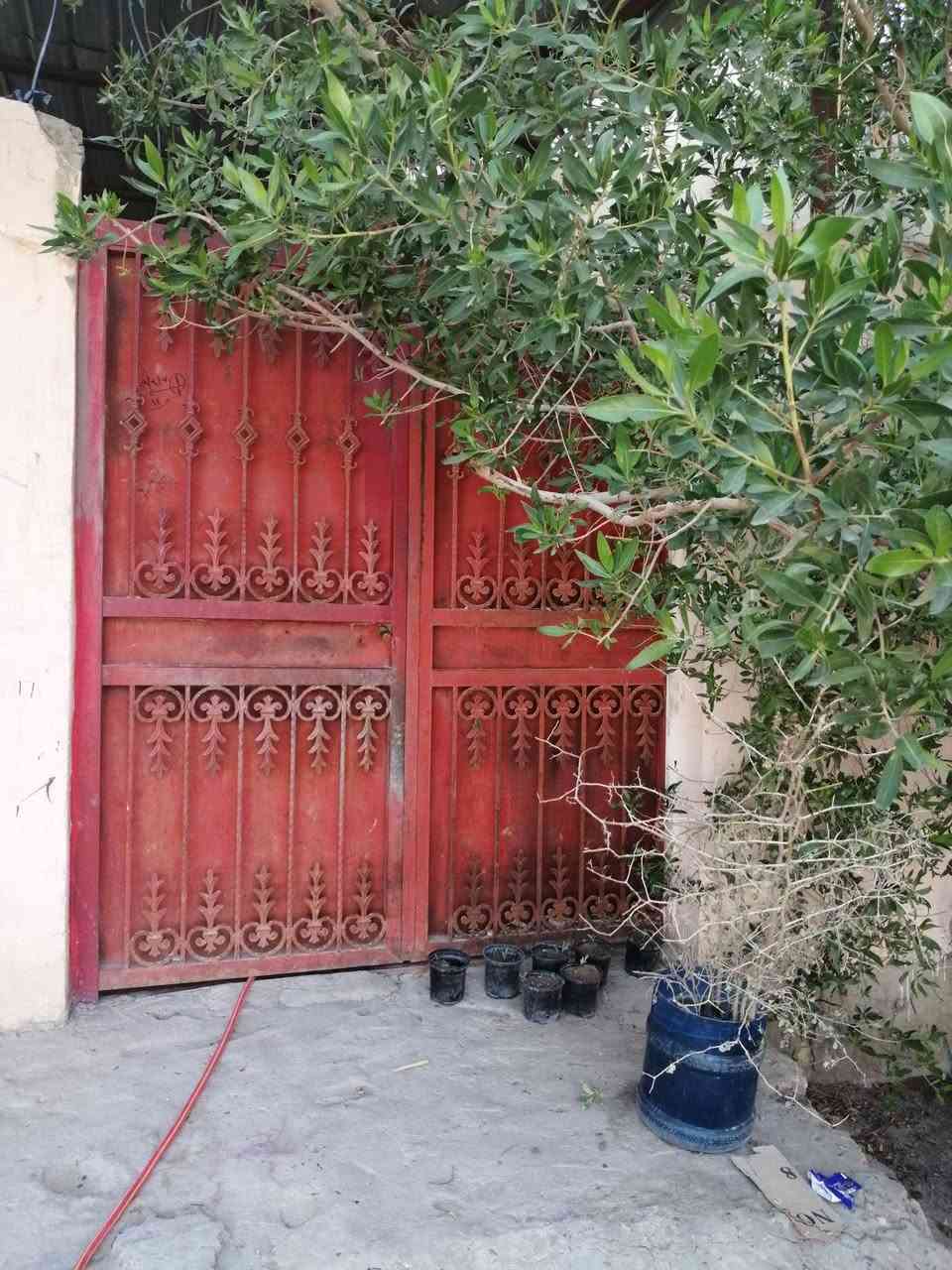 السلام عليكم ورحمة الله وبركاته....بيت مساحة 100م طولي 20*5 عرفه .صاله .مطبخ.استقبال خدمات....هاذا البيت .
سلبياته...خل اكلك لكدام حتى من تجي متنصدم 
بناء رباط كونكريت
جدران طابق جيري 
سقف كونكريت
جاهز يعني 

اكو بي نواقص مثليش سقف ثانوي يراد تبديل سطح يراد تطبيك. بي فطور بل جدران....انتبهلي بي الفطور بل جدران خالي حتى لا تكلي منتبهت مرتين كتبتهن خوش يعني بيت متواضع لا اكلك درجة اولا ولا غير شي هل موجود ...عجبك وقتنعت كل الهلا بيك ماعجبك الله يوفقك بل احسن .سعره 70على هذا كلام تجي للبيت بي مجال .بل فيس تعلق يعني شراي ...سعره سعر بيوت زراعي ....للعلم حتى ما انسى بي حائط مشترك بيني وبين بيت اخوي من نتفق واذا جعل الله مقسوم الحايط الك المشتري .تمام .... حي النداء منطقة ال 56....رقمي بي وتساب ***********.او***********
