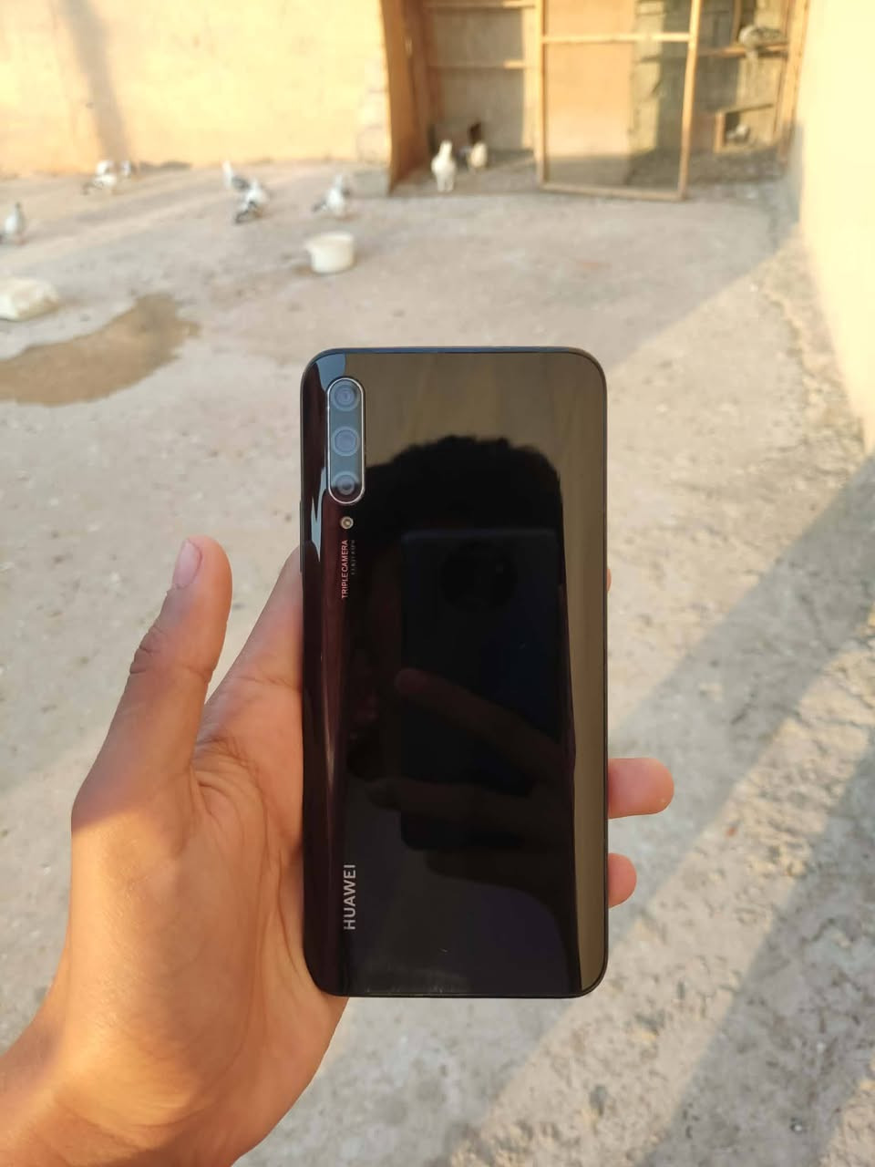 اسلام عليكم: جهاز HUAWEI Y9s: الموديل 2019 الون اسود: الذاكره 128: الرام 6: بطاريه 5000: يشغل جميع مواقع التواصل الاجتماعي يشغل جميع الالعاب منهن بوبجي 40 فريم الجهاز كلش سلس:  كامراه مالتو مثل ما موضح بل صور الجهاز نضيف ومرتب السعر 100 وبي مجال العنوان موصل جانب الايسر


**إذا كنت صاحب هذا الإعلان وتريد حذفه لأي سبب، رجاءا أرسل رسالة إلى الدعم الفني**