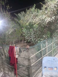 بيت زراعي • ٤٠٠م • مشمول بالطابو