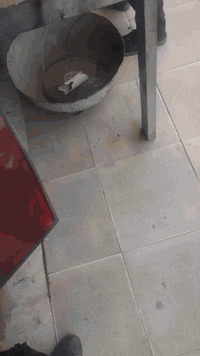 سلام عليكم كماليات ترتيبات سيارة الاخ سجاد 
بخدمتكم .
اعادة مازدات من مرحلة العدم 
بغداد دوره حي دجله 
***********
