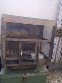 قفص طيور • جبير • بالصورة صغير