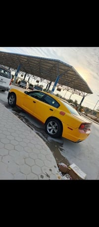 جارجر • ٢٠١١ • بصرة مصفره