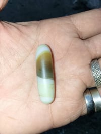 بورانا • ماري ماري • واتساب