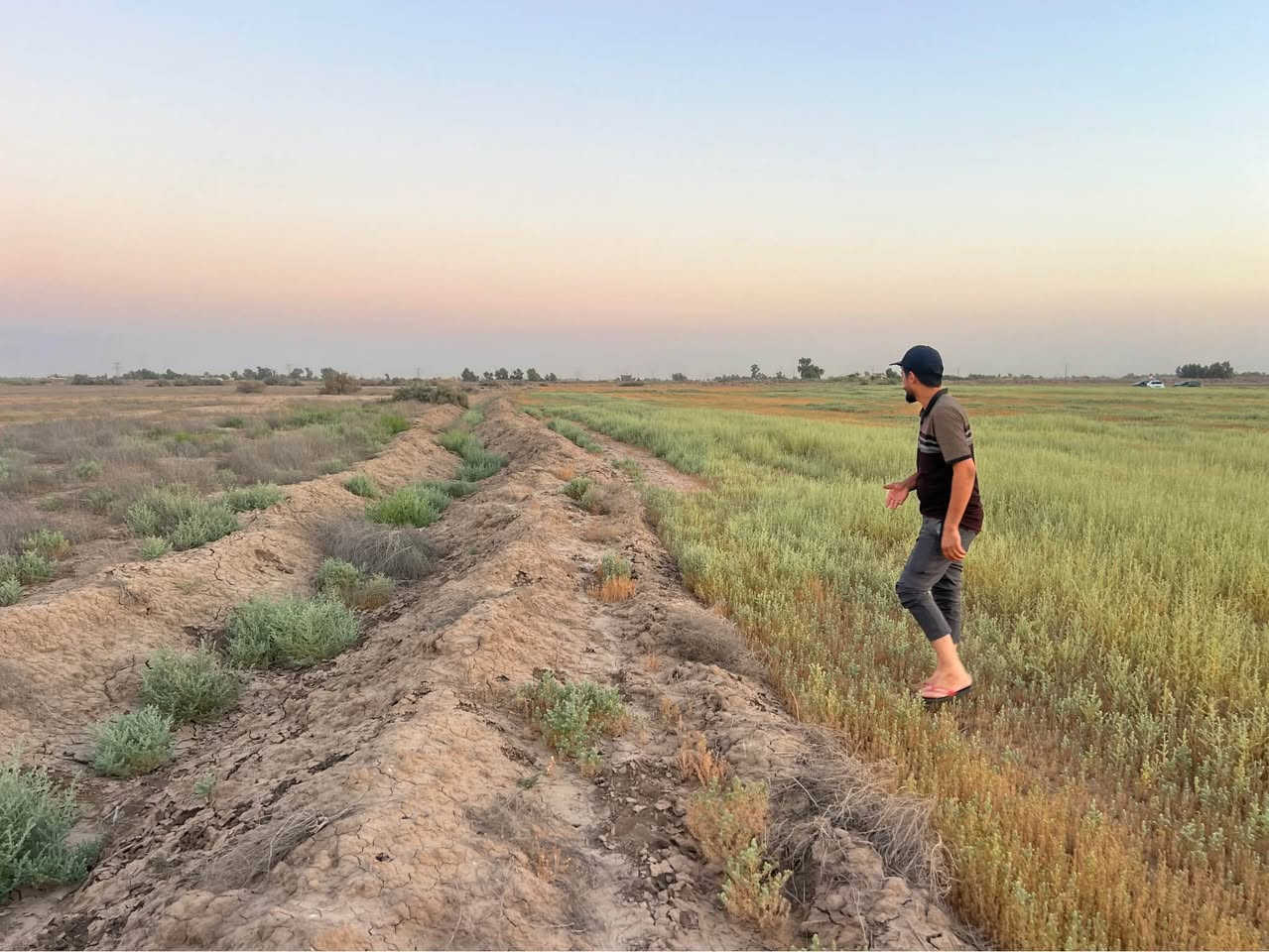 ارض طابو زراعي سند 25 للبيع 
تحويل طابو المحمودية 
الموقع : بغداد - المحمودية - الطريق الدولي السريع - الجسر الخامس - منطقة بزايز اليوسفية 

للبحث عنها في الويز اكتب ( الجسر الخامس الدولي ) 

سعر الدونم 16 مليون فما فوق 

موجود من 1 دونم الى 30 دونم 

للاستفسار خاص او واتساب فقط 
*********** المدائن, بابل

