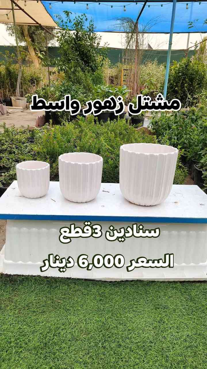 تخفيضات على السنادين السيراميك الايراني والدوارق أهلا وسهلا بيكم مشتل زهور واسط
يفتح المشتل طيله ايام الاسبوع من الساعه 8:00 صباحا والى الساعه 7:00 ليلآ 🌃 

#مشتل_زهور_واسط العنوان كوت فلكه الحاوي شارع مجمع دمشق الطبي مقابل ابتدائية الكوت للتعليم الأساسي #يوجد_توصيل_داخل_الكوت

*********** لطلب والاستفسار واتساب  او مراسله الصفحه الشخيصه بلال الواسطي🌹😊
