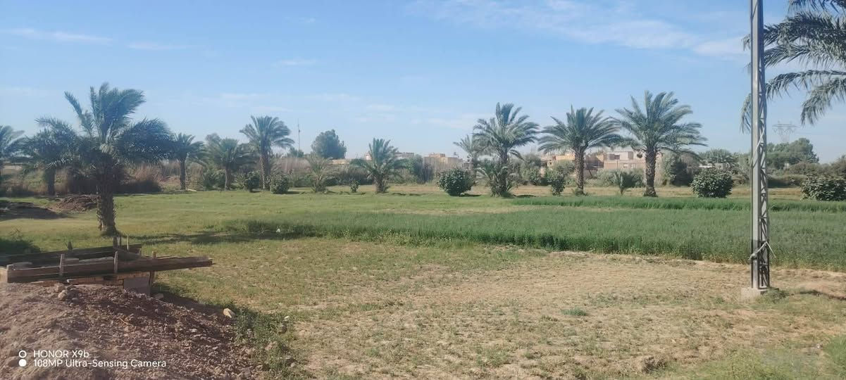سلام عليكم ارض زراعيه للبيع تحتوي عله بيتين واحد جاهز وثاني واصل للصب وجميع الخدماته متوفره عله طريق الابنجيم للستفسار عله رقم ***********

