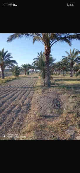 4 دوانم مراوس او بيع جاهز مجهز من كلشي سند 25 احولك بسمك
مكان سبع البور البصام على شارع طيار مباشراً سعر 98 
*********** الفلوجة
