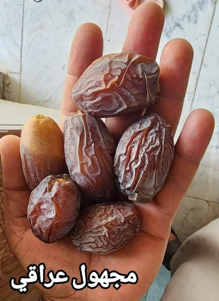 ***********//***********
متوفر فسائل مجهول قلع من الام درجه اولى
