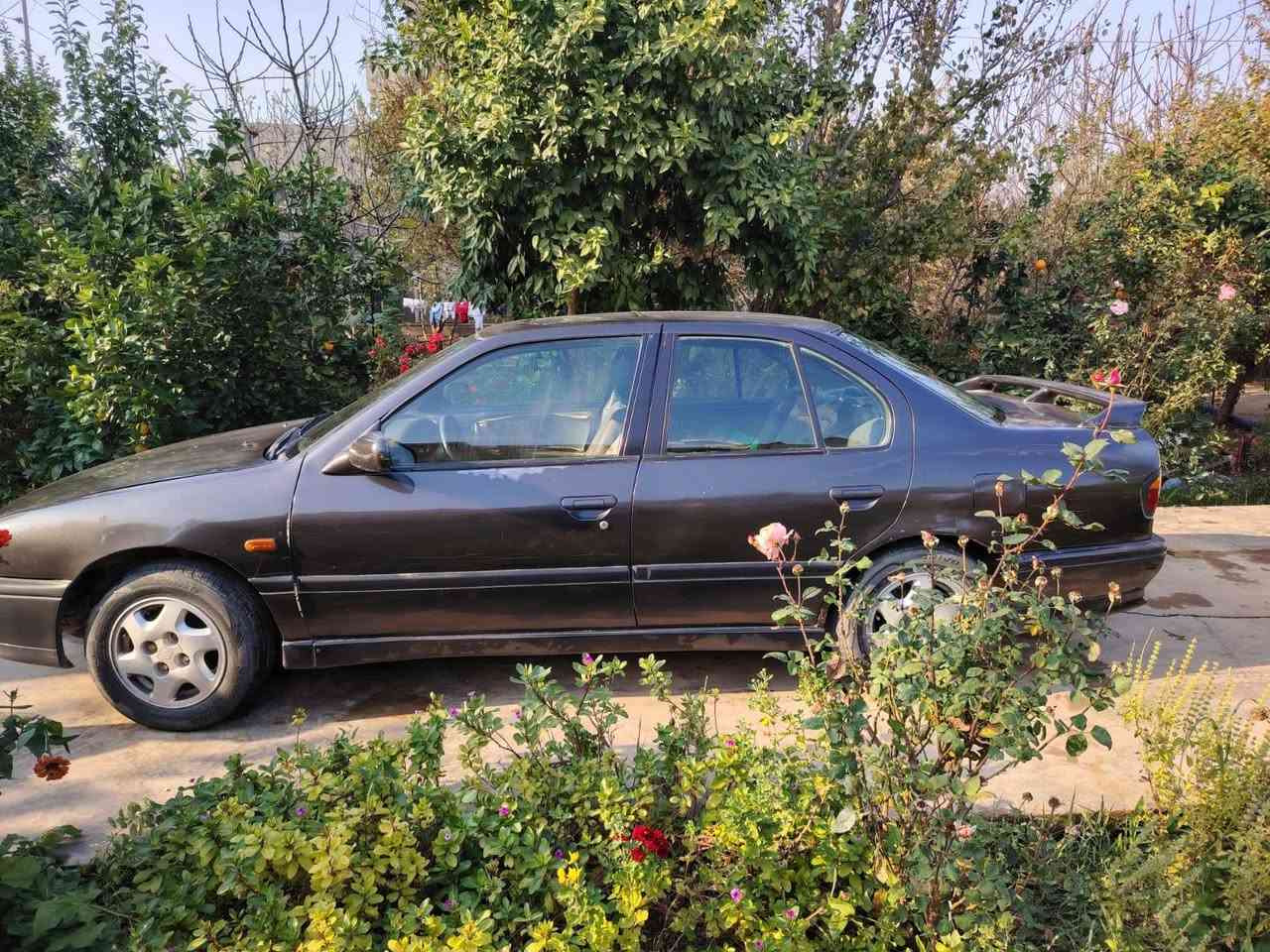 نيسان براميرا (للبيع) موديل 1992 گير ومحرك مكفلوت والسياره بأسمي الرقم بغداد (الماني) والسعر 30 وبيها مجال
للشراء وألاستفسار الاتصال على الرقم ***********
