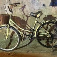 ‏ماسكل جديد راسل علي صبغة السعر 50 وبي مجال07761810455