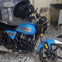 دايون 2023 • مرقمة • كفالة عامة