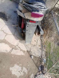 ماكس منغولي • شغالة • الدورة أبو دشير