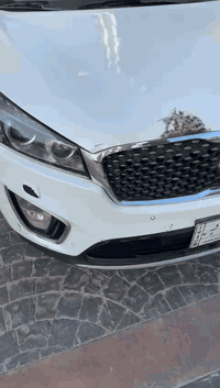 السلام عليكم
سورنتو لون  ابيض خليجي فول مواصفات. رقم بغداد باسمي تحويل ثاني يوم  رقم انگليزي جديد
مواصفات، 
بانوراما 
شاشة 
حساسات امامية 
حساسات خلفية 
كامرة
زراگ لايت 
ترحيب 
مكينة 6سلندر 
فور ويل 
تشغيل بصمة 
ابواب بصمة 
جنطة كهربائي 
فور ويل 
3قطع تبريد 
7راكب 
كشنات جلد بلاد 
گيجات زئبقي 
*********** متواجد واتساب
السيارة جديدة بمعنى الكلمة ودينار متصرف عليه مكينة وكير بشرط  ممخلين سبانة عليهن السيارة كفالة عامة عدا هاي الطخة بخشم البنيد مكان السيارة ديالى خان بني سعد سعره221واقة
