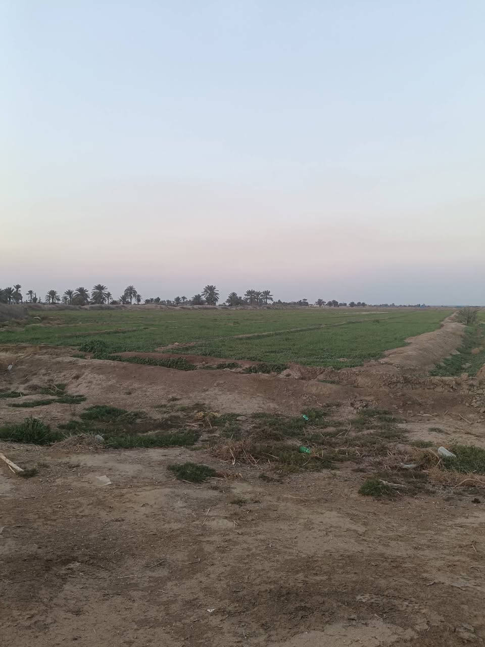 السلام عليكم 5 دوانم للپيع بالصويرة طابو صرف فتح بيان بأسم المشتري مباشرة بعد الاتفاق طبعآ طريق اجبلة تبعد عن الشارع الرئيسي 250 متر بالظبط متوفر كهرباء ماء للاستفسار اكثر الاتصال ☎️ بنا على الرقم ***********
علمآ سعرها مناسب وجوة السوك 
لا اذكر السعر بسبب الدلالين مع جل احترامي لهم 
اتصلوا ع الرقم وكلها سهلة واني بالخدمة
