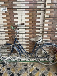 بطه ياباني • بحاجه تاير امامي