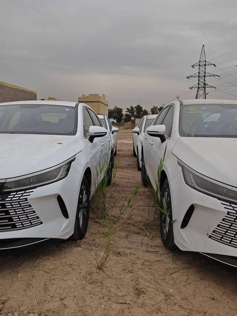 عرض خاص تحطيم الأسعار
مرقم بغداد لوحه وسنويه بسمك 

بدون دلالية سعر صافي 

وجبه دستروير زيرو  🔥

 دستروير ابيض داخل ابيض

موديل 2025

بسعر  114 $$ 💵

 زيرو صفر 💯

غراضهن كامله منفيس فحص مؤقت 

العنوان بغداد 

الإتصال ☎️

***********  واتساب📞
