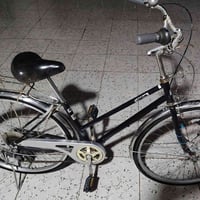 باسكل ياباني • أصلي • حاوية