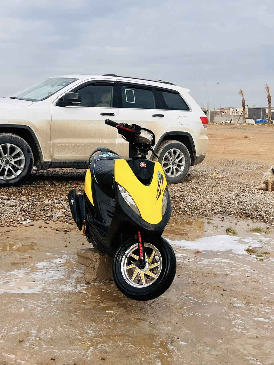 ماكس عدله 49للبيع


**إذا كنت صاحب هذا الإعلان وتريد حذفه لأي سبب، رجاءا أرسل رسالة إلى الدعم الفني**