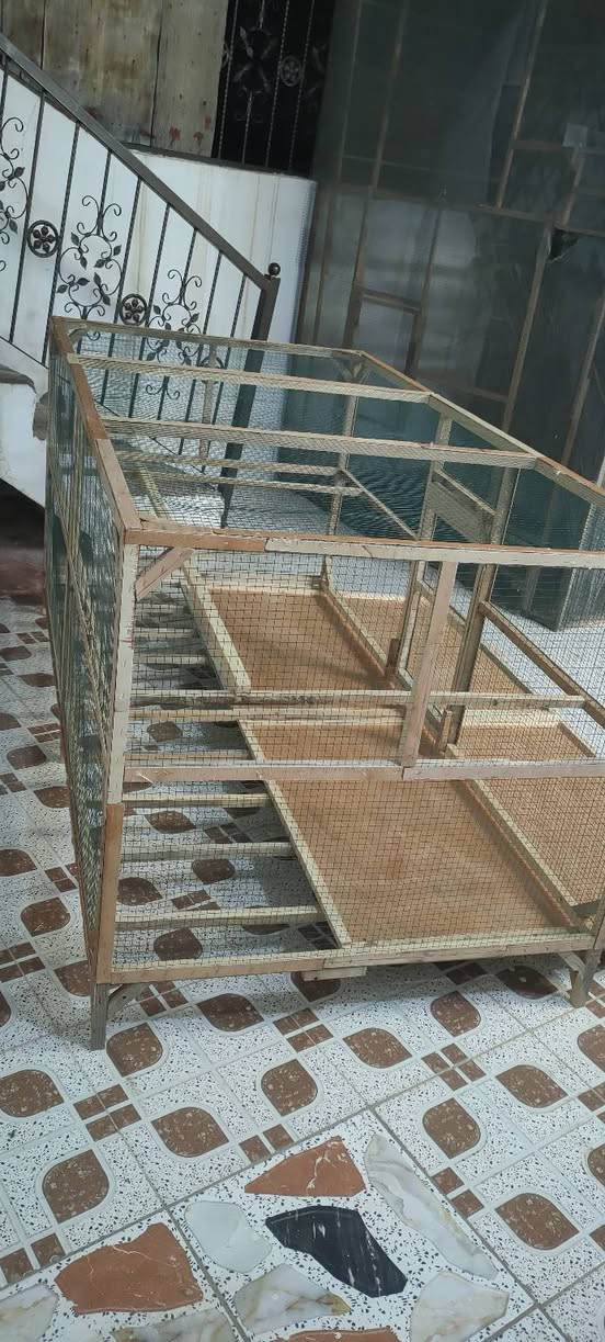 قفص طول مترين عرض متر ارتفاع 90 مع الرجلين السعر 80 الف


**إذا كنت صاحب هذا الإعلان وتريد حذفه لأي سبب، رجاءا أرسل رسالة إلى الدعم الفني**