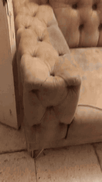 تخم ١٢قطعه تفصال  السعر ٣٠٠ قفل
عنواني كربلاء حي حر الرقم ***********
