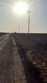 بابل الحله • النيل الصياحيه • ٤٨دونم