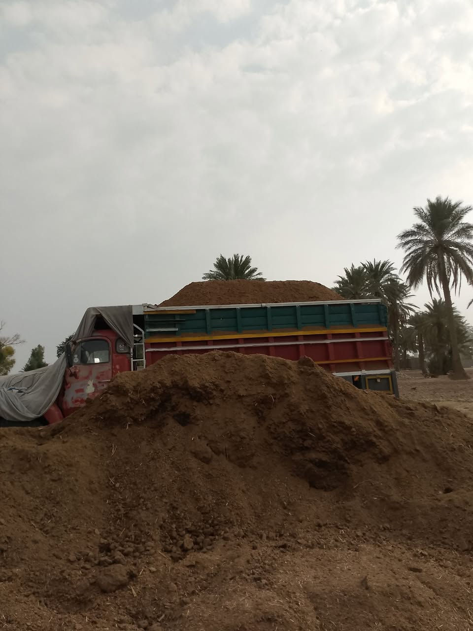 سلام عليكم يوجد دمن غنم أو هوش ولي يريد يتصل على الرقم الموجود *********** و *********** ترس فول ولي يريد بيه خير ويدلل ديالى وبغداد فقط
