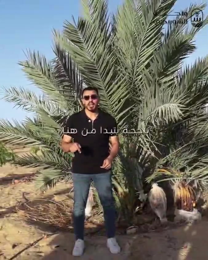المجدول بعد ٣٦ شهر فقط  
يحقق عائد مادي 
  محصول تجاري بمتوسط ١٠ كيلو من كل نخله  
و فصل فسيله من كل نخله  
 النتائج مختلفه و نفس النتيجه في كل المشاريع 
معاينتك تفرق كتير في اخذ القرار  
 للتواصل علي رسايل الصفحه


**إذا كنت صاحب هذا الإعلان وتريد حذفه لأي سبب، رجاءا أرسل رسالة إلى الدعم الفني**