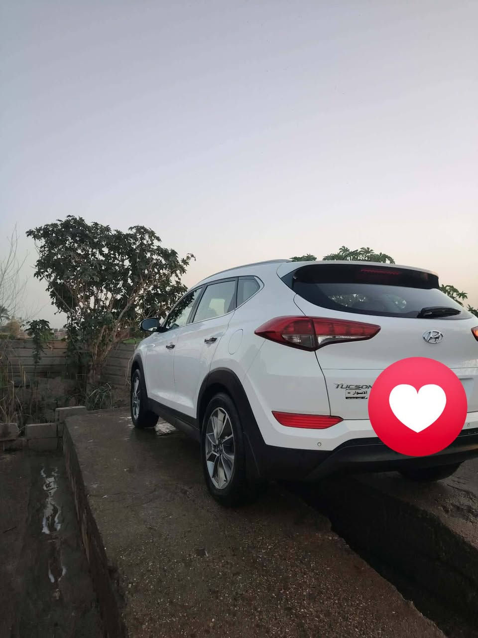 السلام عليكم
توسان خليجي 18 مكفوله كفاله عامه لا ضبغ 
ولا بادر ولا طخه ولا ضربه 
مكاني بغداد
السعر 190
*********** بغداد ابي غريب
