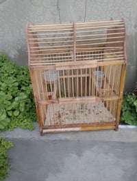 قفص بلبل • وبي مجال