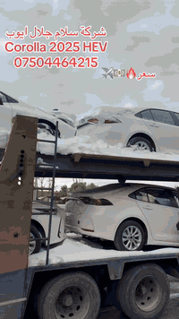 شركة سلام جلال ايوب كورولا هايبريد ٢٠٢٥ ٣١/١٢/٢٠٢٥ 07504464215
