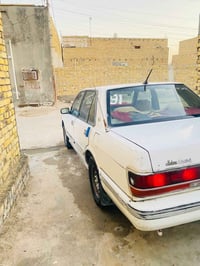 ياباني • حسب القناعة • مراوس