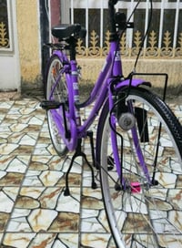 باسكل • نضيف • شوفت عينك