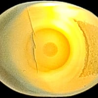 أغراض شخصية • راسلني خاص